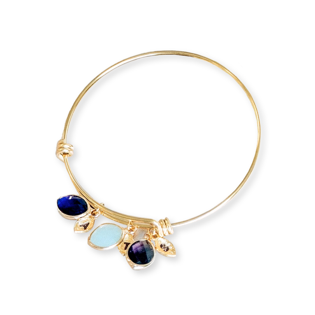 Birthstone Family Charm Bracelet