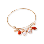Birthstone Family Charm Bracelet